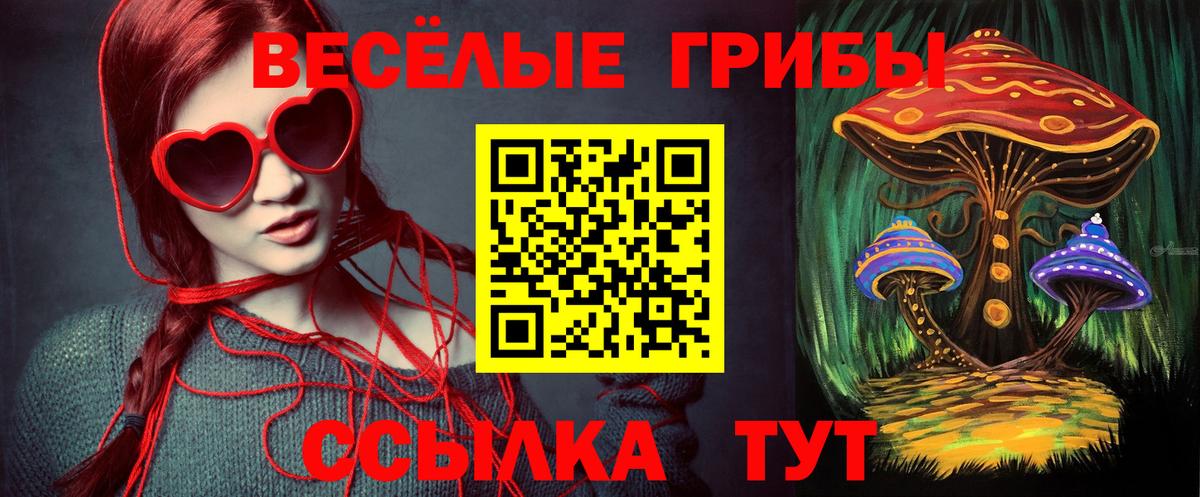 Галлюциногенные грибы MAGIC MUSHROOMS  Галлюциногенные грибы MAGIC MUSHROOMS  Вход с VPN  Павловский Посад 